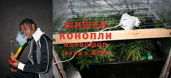 мескалин Елабуга