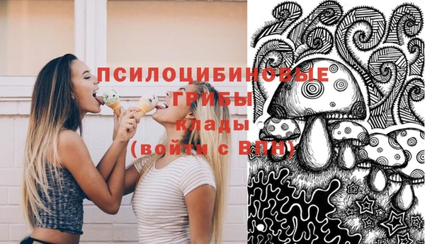 метамфетамин Ельня